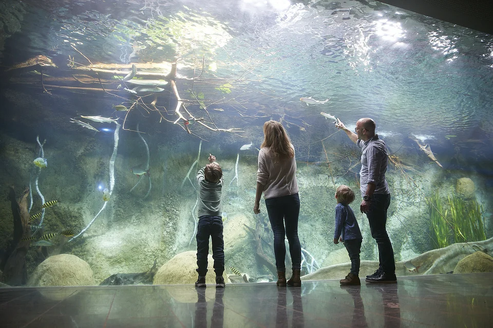 © Zoo Leipzig GmbH