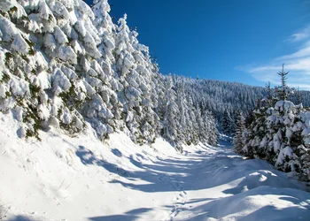 Adventszauber im Isergebirge