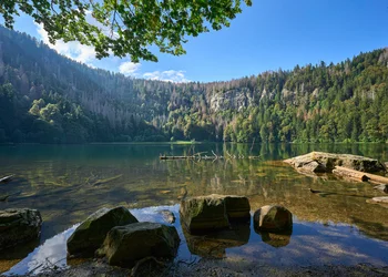 Schwarzwald & Elsass