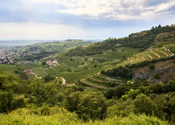 Silvester im Valpolicella & Verona