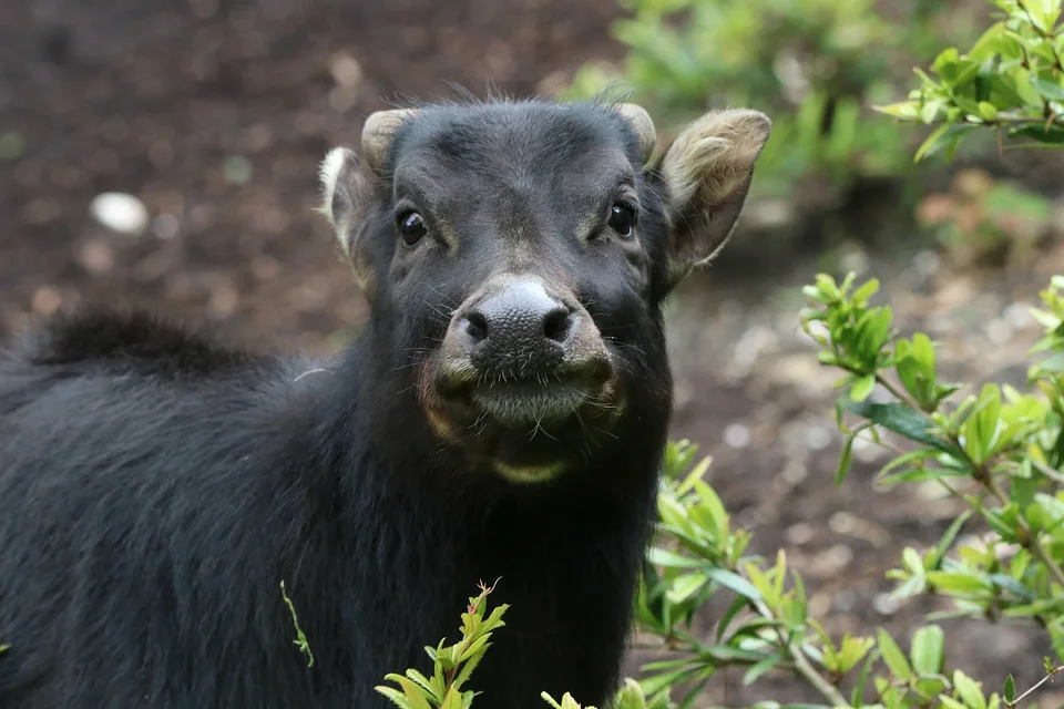 © Zoo Leipzig GmbH
