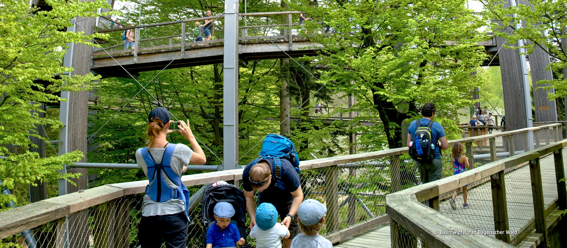 © Baumwipfelpfad Bayerischer Wald