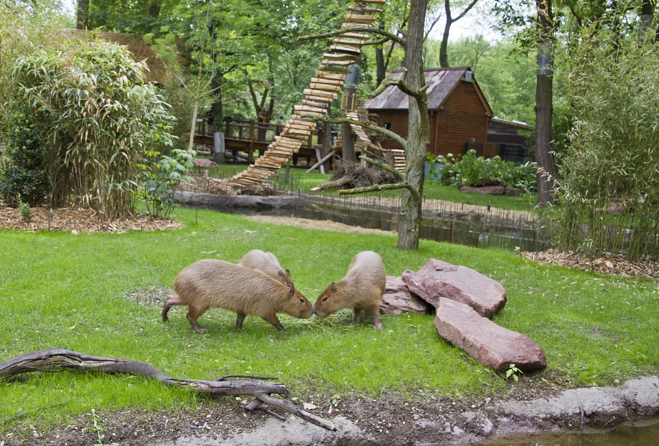 © Zoo Leipzig GmbH