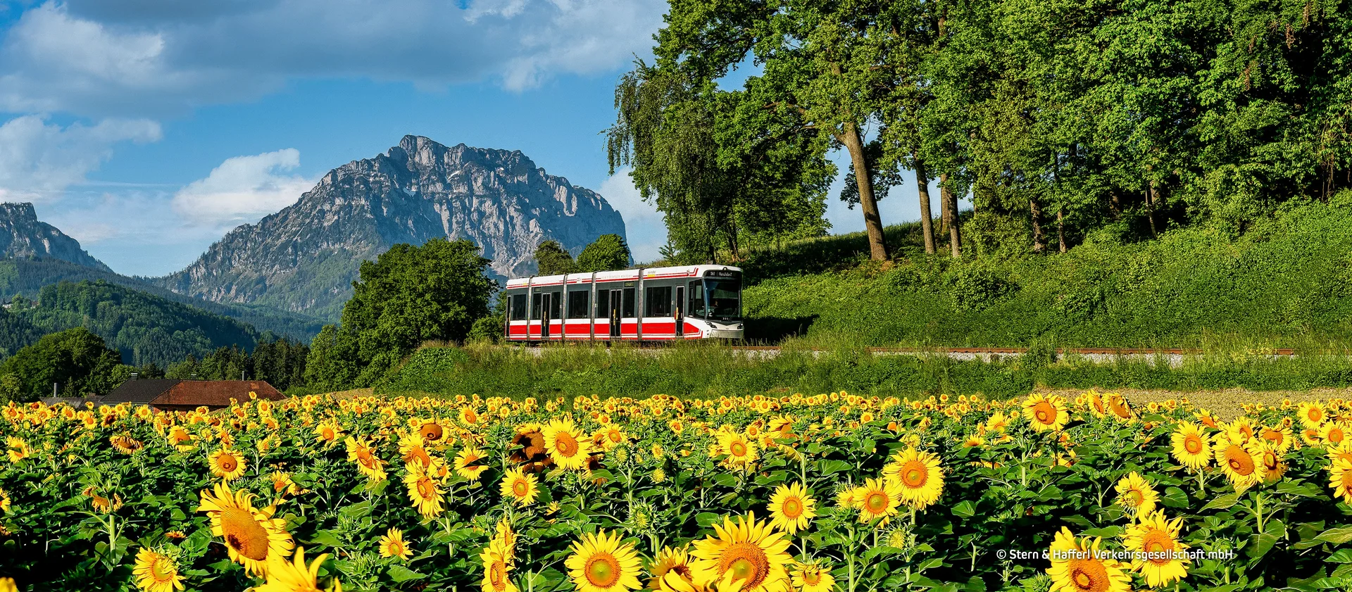 © Stern & Hafferl Verkehrsgesellschaft mbH