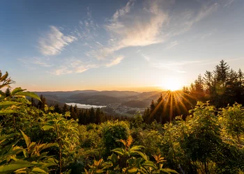 Schwarzwald & Elsass