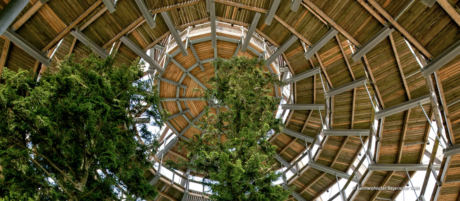 © Baumwipfelpfad Bayerischer Wald